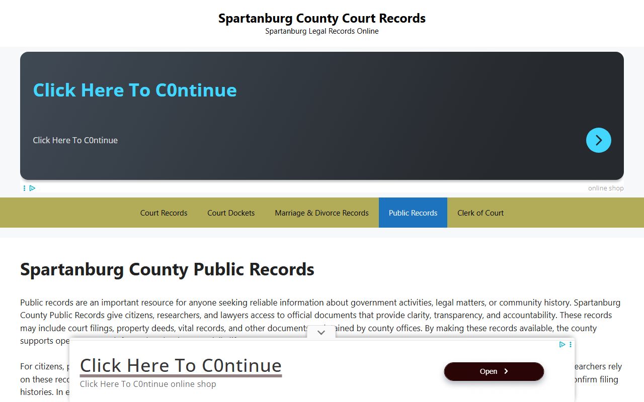 Spartanburg County public records for background check research